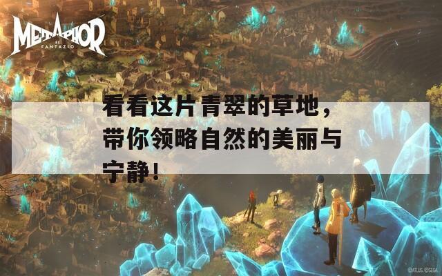 看看这片青翠的草地，带你领略自然的美丽与宁静！  第1张