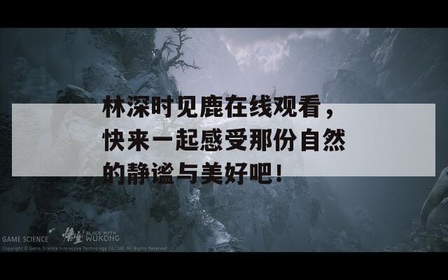 林深时见鹿在线观看，快来一起感受那份自然的静谧与美好吧！  第1张