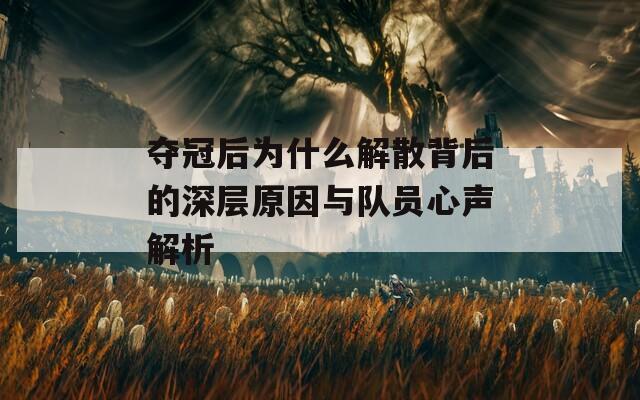 夺冠后为什么解散背后的深层原因与队员心声解析