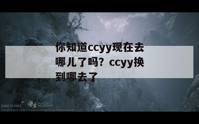 你知道ccyy现在去哪儿了吗？ccyy换到哪去了