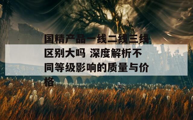 国精产品一线二线三线区别大吗 深度解析不同等级影响的质量与价格  第1张