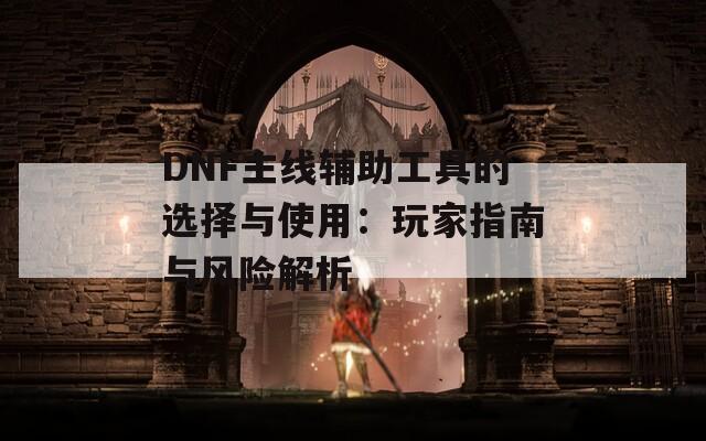 DNF主线辅助工具的选择与使用：玩家指南与风险解析  第1张