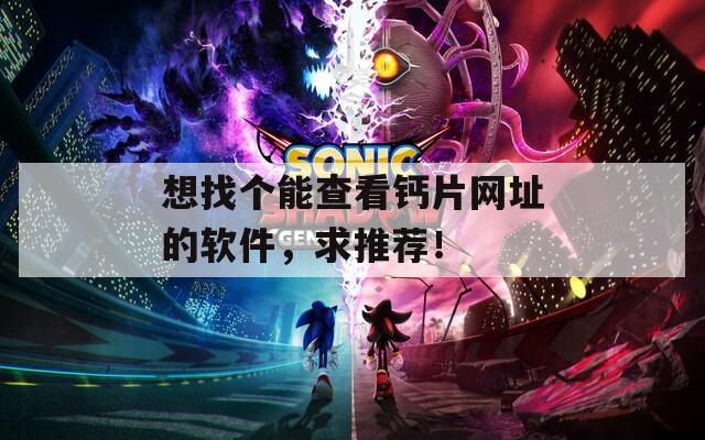 想找个能查看钙片网址的软件，求推荐！  第1张