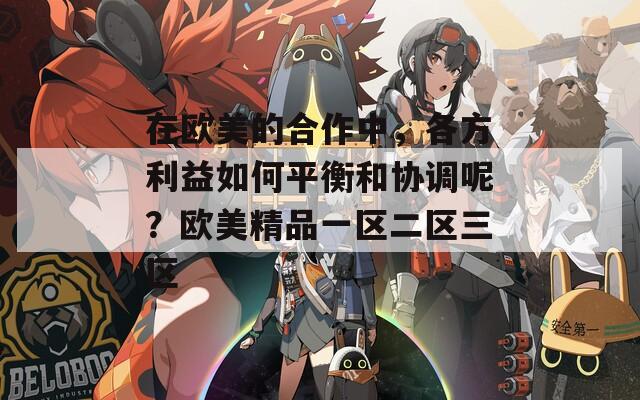在欧美的合作中，各方利益如何平衡和协调呢？欧美精品一区二区三区  第1张