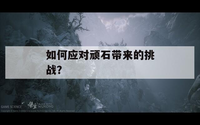 如何应对顽石带来的挑战？  第1张