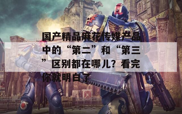 国产精品麻花传媒产品中的“第二”和“第三”区别都在哪儿？看完你就明白了  第1张