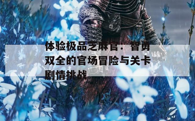体验极品芝麻官：智勇双全的官场冒险与关卡剧情挑战