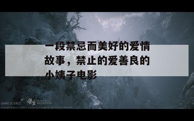 一段禁忌而美好的爱情故事，禁止的爱善良的小姨子电影  第1张