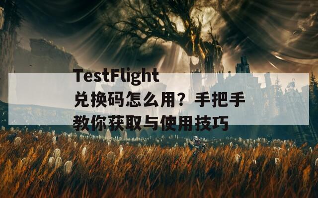TestFlight兑换码怎么用？手把手教你获取与使用技巧  第1张