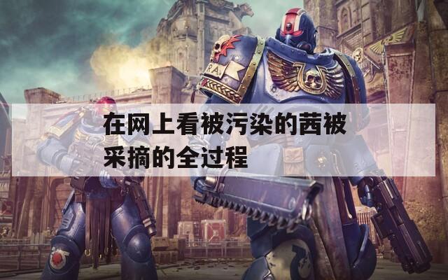 在网上看被污染的茜被采摘的全过程  第1张