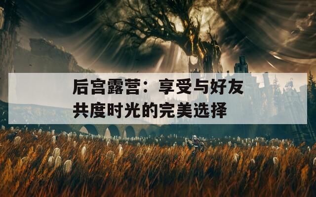 后宫露营：享受与好友共度时光的完美选择  第1张