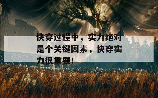 快穿过程中，实力绝对是个关键因素，快穿实力很重要！