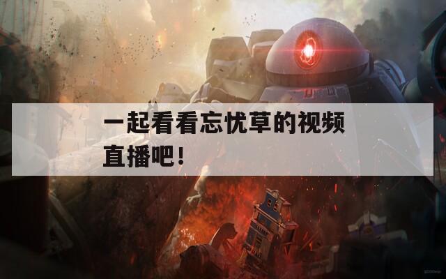 一起看看忘忧草的视频直播吧！  第1张