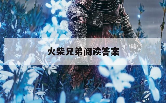 火柴兄弟阅读答案