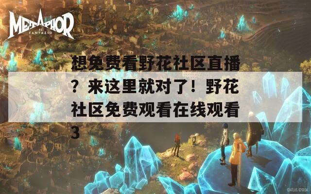 想免费看野花社区直播？来这里就对了！野花社区免费观看在线观看3