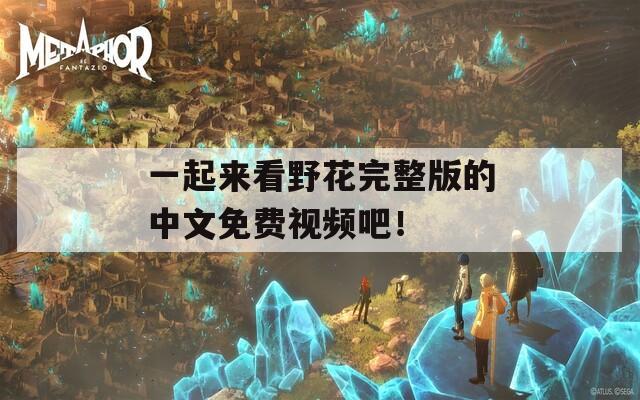 一起来看野花完整版的中文免费视频吧！