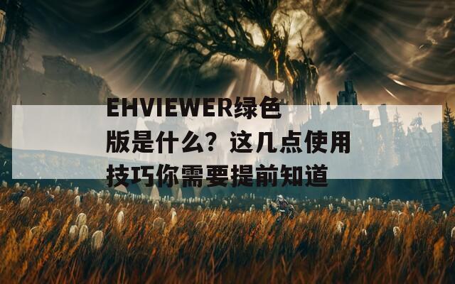 EHVIEWER绿色版是什么？这几点使用技巧你需要提前知道