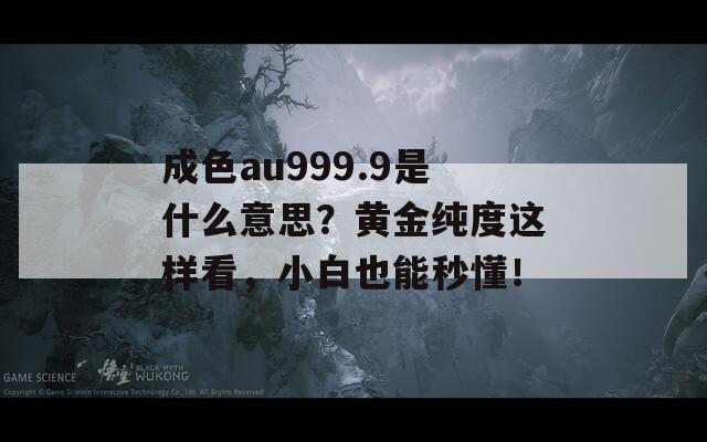成色au999.9是什么意思？黄金纯度这样看，小白也能秒懂！