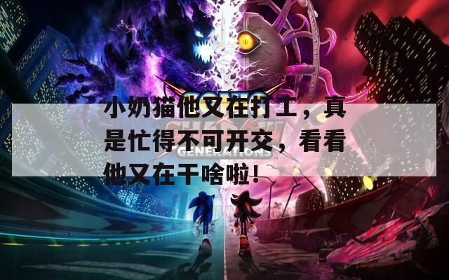 小奶猫他又在打工，真是忙得不可开交，看看他又在干啥啦！  第1张