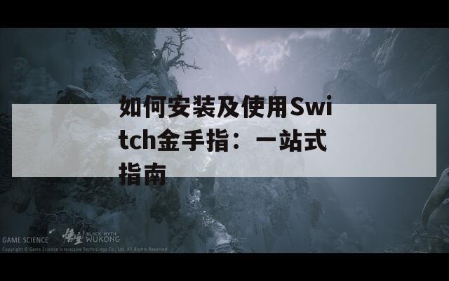 如何安装及使用Switch金手指：一站式指南