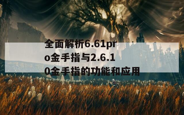 全面解析6.61pro金手指与2.6.10金手指的功能和应用  第1张
