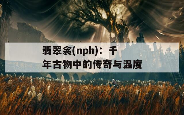 翡翠衾(nph)：千年古物中的传奇与温度