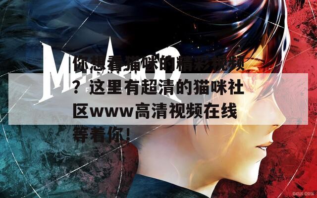 你想看猫咪的精彩视频？这里有超清的猫咪社区www高清视频在线等着你！