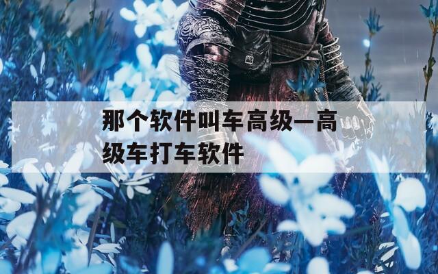 那个软件叫车高级—高级车打车软件  第1张