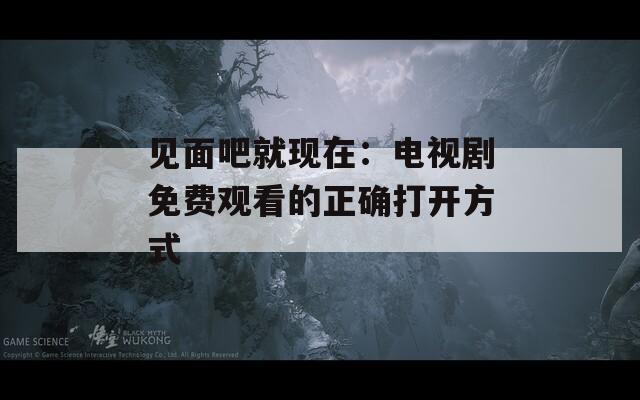 见面吧就现在：电视剧免费观看的正确打开方式  第1张