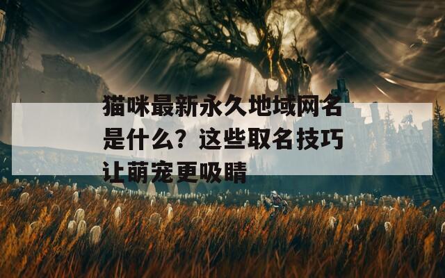 猫咪最新永久地域网名是什么？这些取名技巧让萌宠更吸睛  第1张
