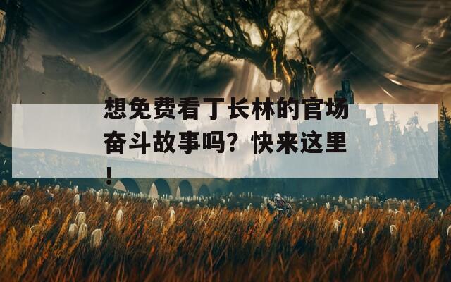 想免费看丁长林的官场奋斗故事吗？快来这里！  第1张