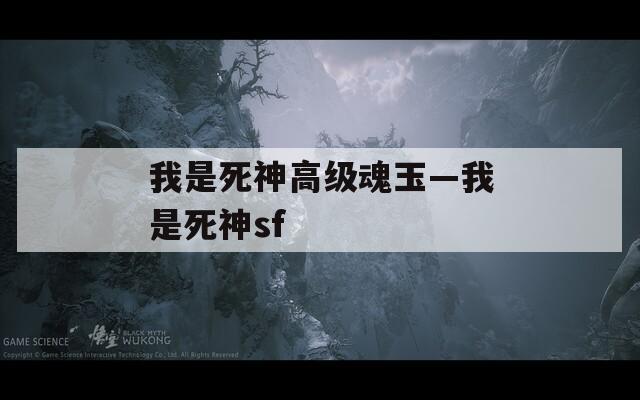 我是死神高级魂玉—我是死神sf  第1张