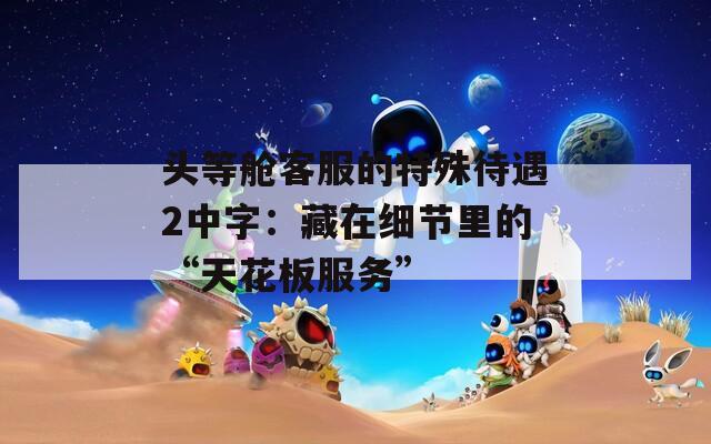 头等舱客服的特殊待遇2中字：藏在细节里的“天花板服务”  第1张