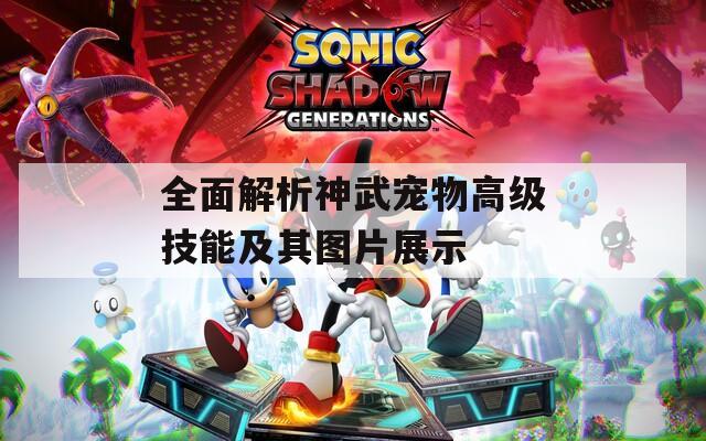 全面解析神武宠物高级技能及其图片展示  第1张