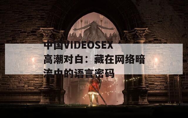 中国VIDEOSEX高潮对白：藏在网络暗流中的语言密码  第1张