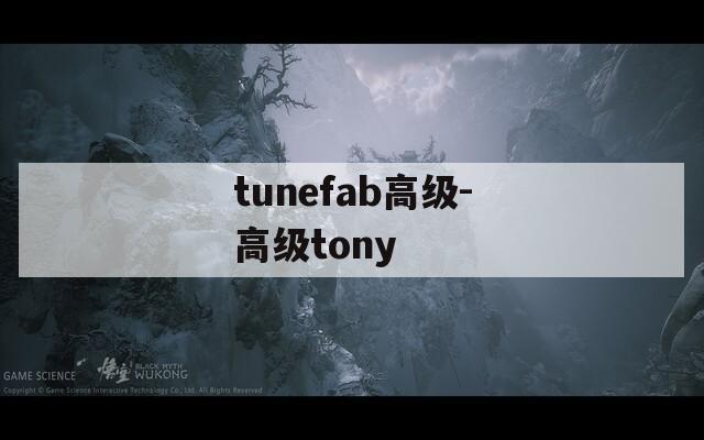 tunefab高级-高级tony  第1张