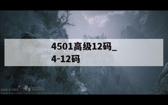 4501高级12码_4-12码  第1张