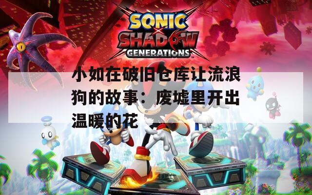 小如在破旧仓库让流浪狗的故事：废墟里开出温暖的花  第1张