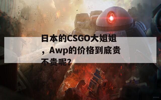 日本的CSGO大姐姐，Awp的价格到底贵不贵呢？  第1张