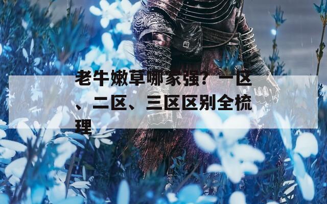 老牛嫩草哪家强？一区、二区、三区区别全梳理  第1张