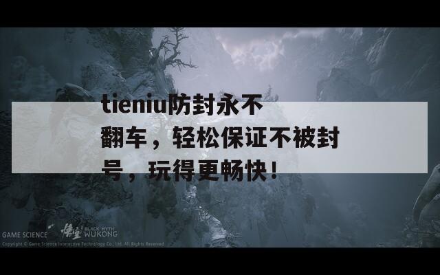 tieniu防封永不翻车，轻松保证不被封号，玩得更畅快！  第1张