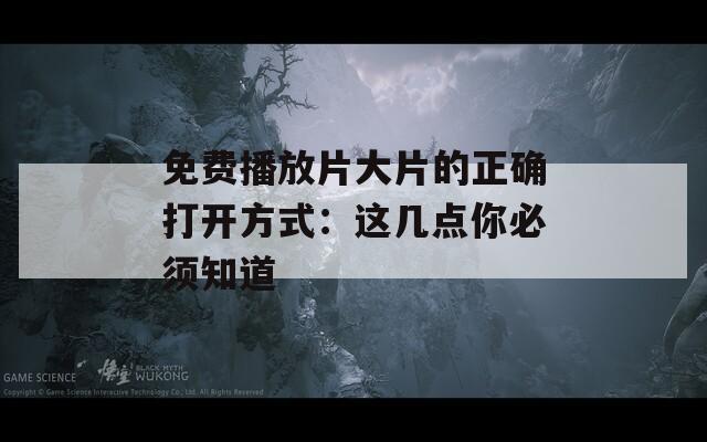 免费播放片大片的正确打开方式：这几点你必须知道  第1张