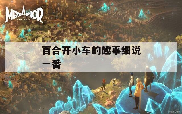 百合开小车的趣事细说一番  第1张