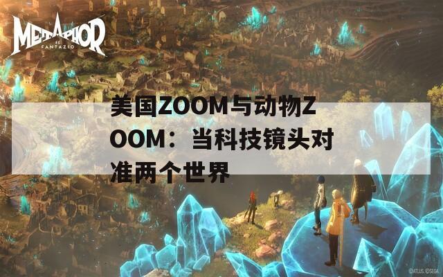 美国ZOOM与动物ZOOM：当科技镜头对准两个世界