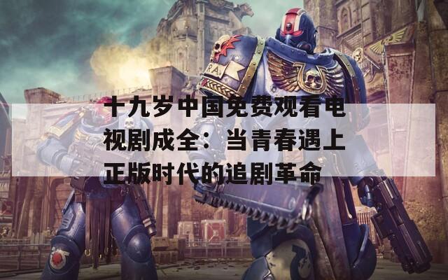 十九岁中国免费观看电视剧成全：当青春遇上正版时代的追剧革命  第1张