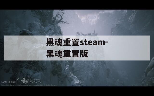 黑魂重置steam-黑魂重置版  第1张