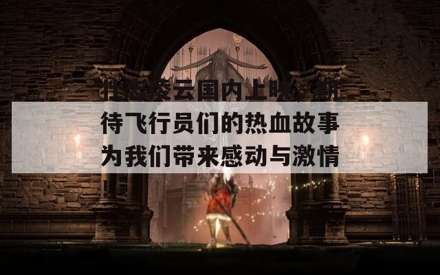 壮志凌云国内上映，期待飞行员们的热血故事为我们带来感动与激情！  第1张