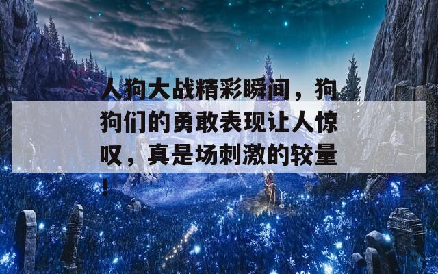 人狗大战精彩瞬间，狗狗们的勇敢表现让人惊叹，真是场刺激的较量！  第1张