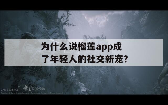 为什么说榴莲app成了年轻人的社交新宠？  第1张