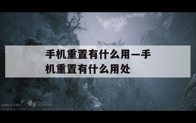 手机重置有什么用—手机重置有什么用处  第1张